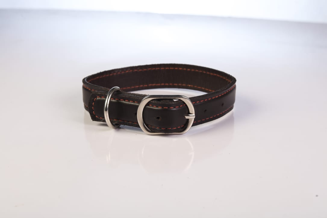 Bruno Leather Dog Collar