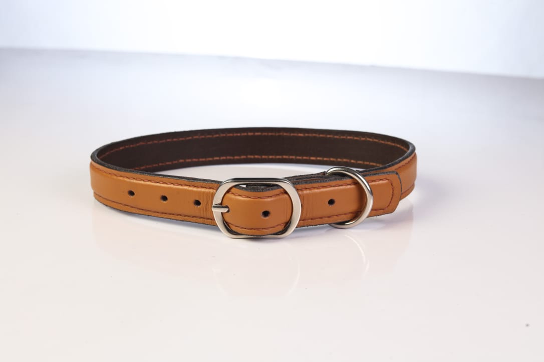 Chico Leather Dog Collar