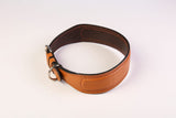 Maxx Leather Dog Collar