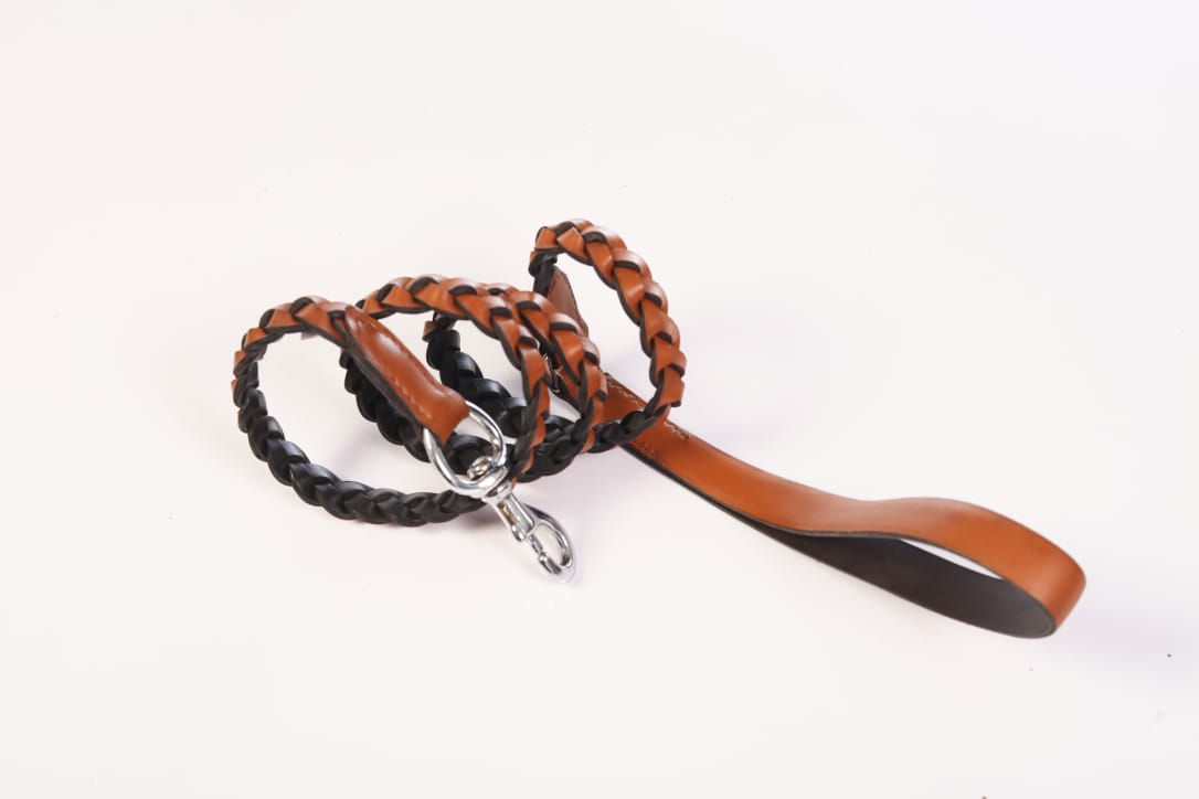 Trace Woven Leather Dog Leash