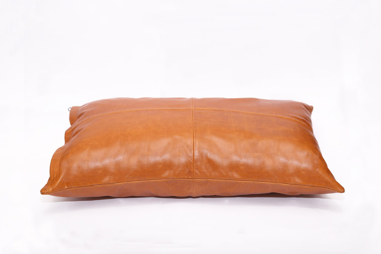 Leather Pillow