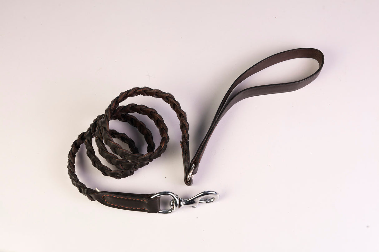 Woven Leather Dog Leash