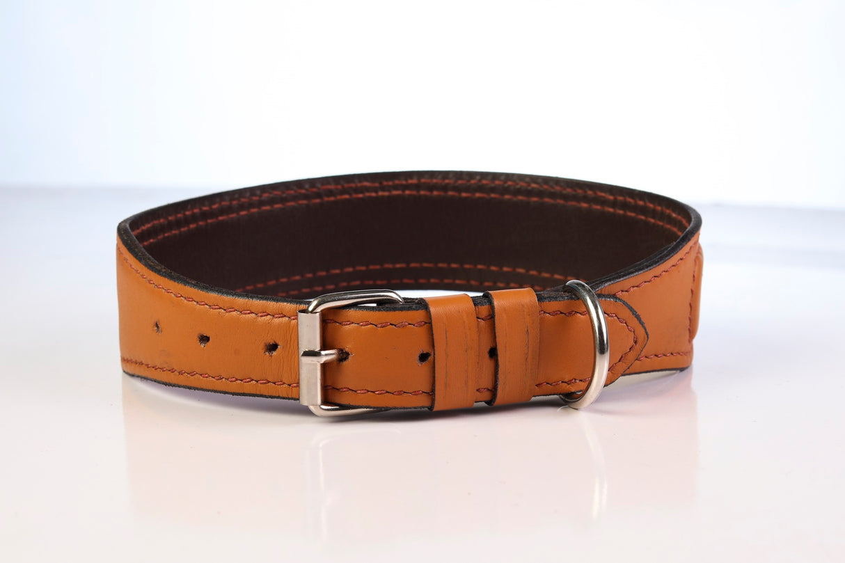 Maxx Leather Dog Collar