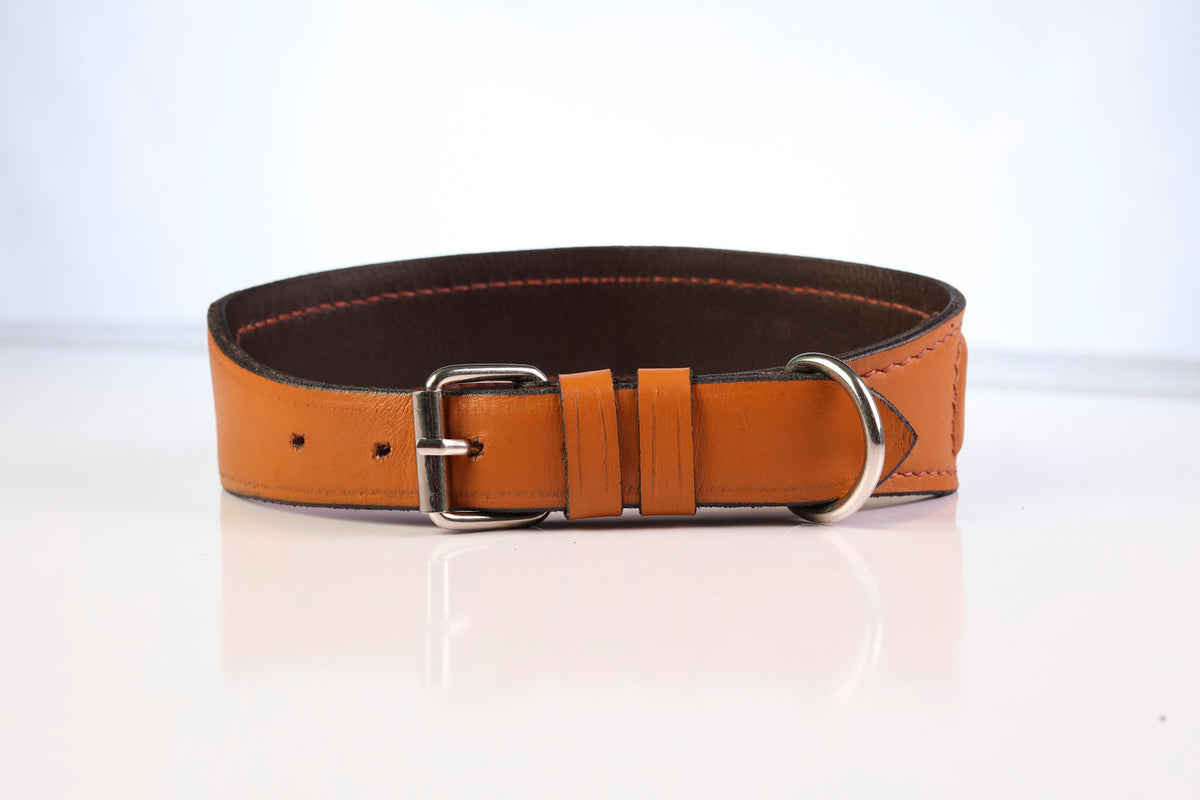 Bowie Leather Dog Collar