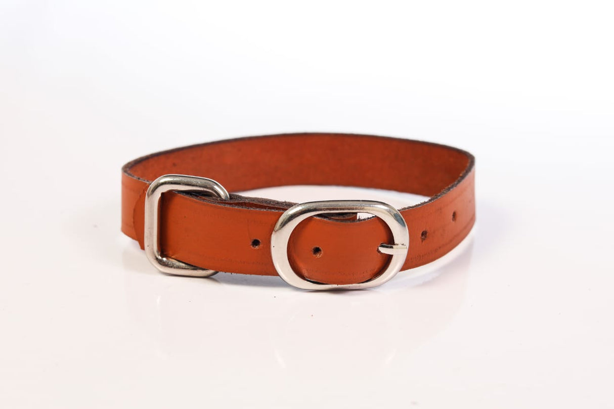 Flax Leather Dog Collar