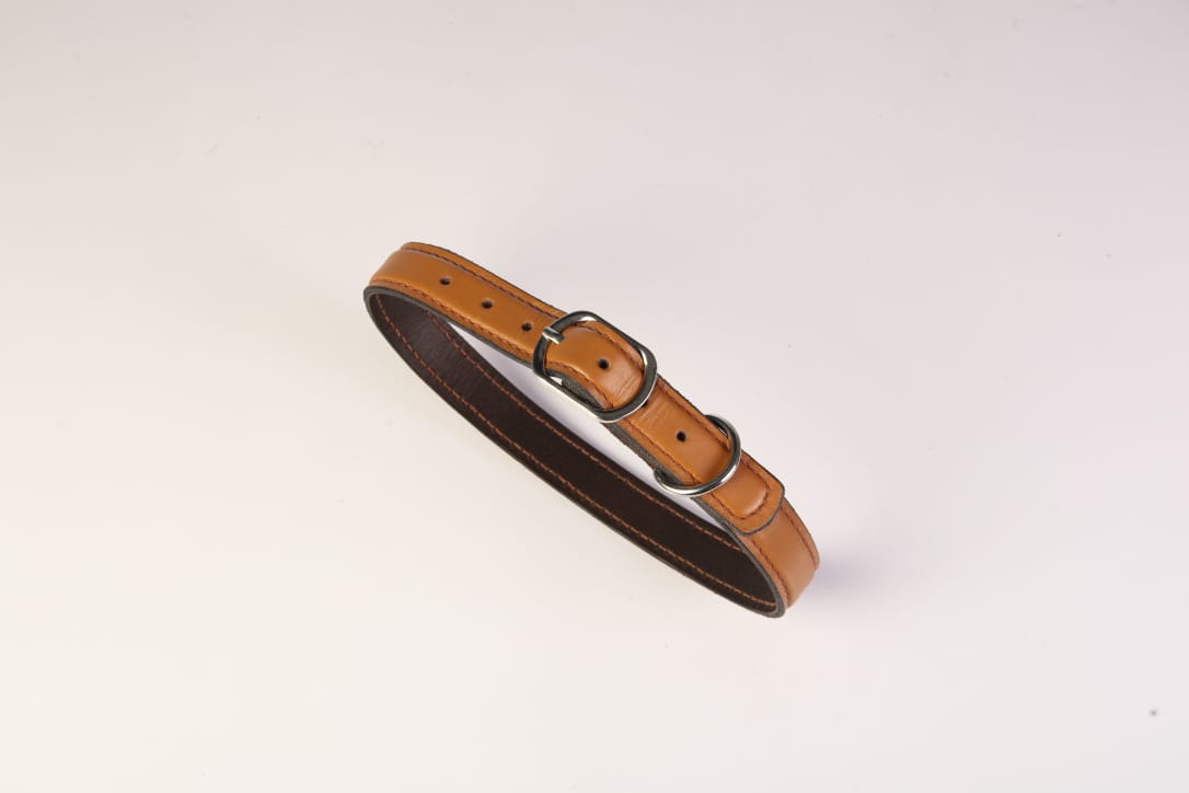 Chico Leather Dog Collar